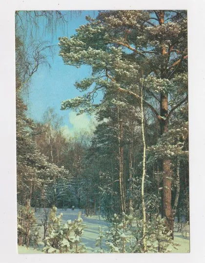 фото, З НОВИМ РОКОМ - С НОВЫМ ГОДОМ = 1989 р. = Самсоненко = чиста &