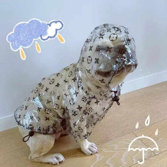 Купити Куртка-дождевик для собак 11490 XXS