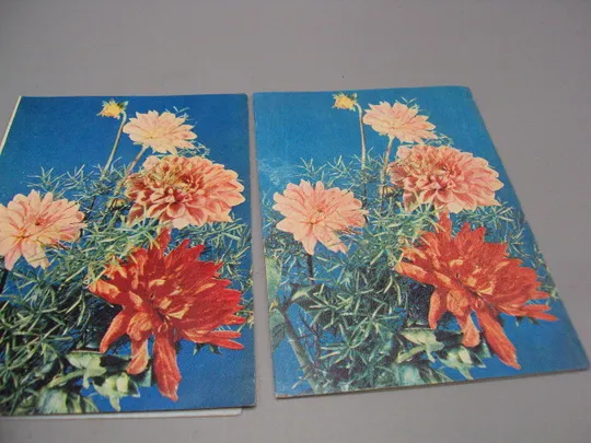 Купити Открытка телеграмма цветы фото В. Баранникова 1979 год лот 2 шт №16153