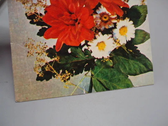 Открытка Поздравляем! цветы фото И. Дергилева 1975 год №18056 Де купити