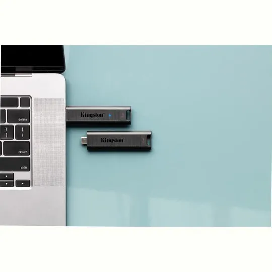 Флеш-накопитель USB3.2 256GB Type-C Kingston DataTraveler Max Black (DTMAX/256GB) Недорого