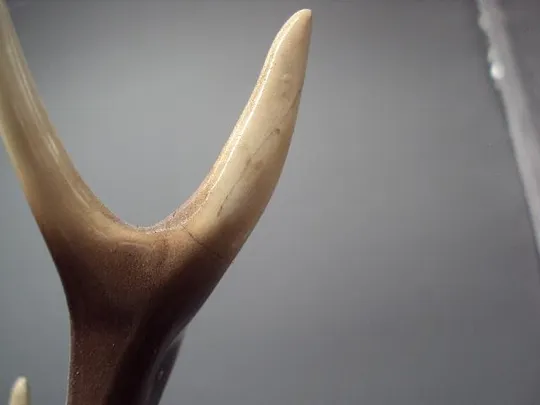 Фигура фарфор статуэтка Германия Hertwig with co олень высота 43 см под реставрацию №63 Характеристики