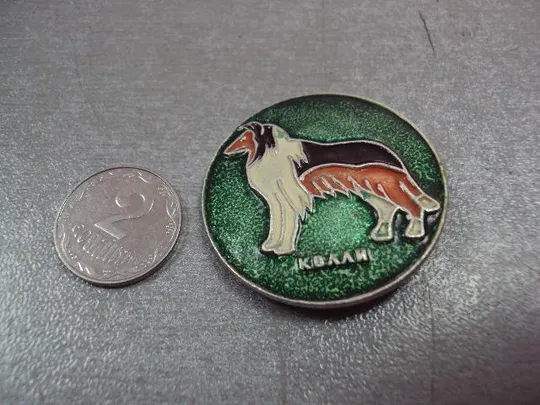 знак детский собака колли круглый №4669 Ціна