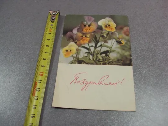 открытка поздравляю анютины глазки 1965 шраде №10933 Ціна