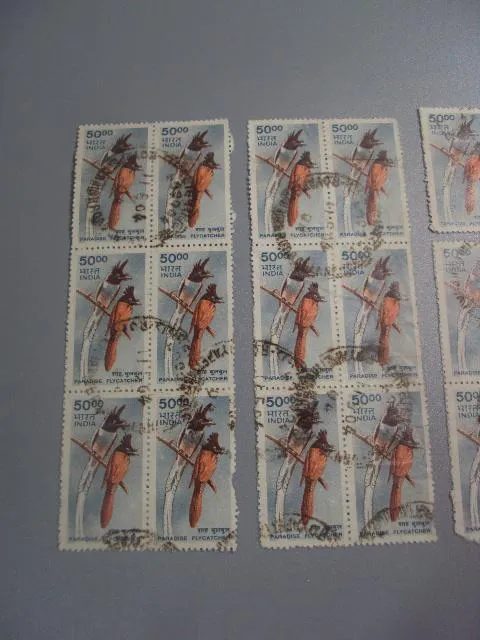 Купити марки цвепки Индия 2000 птицы птички, райская мухоловка лот 22 шт гаш №1743