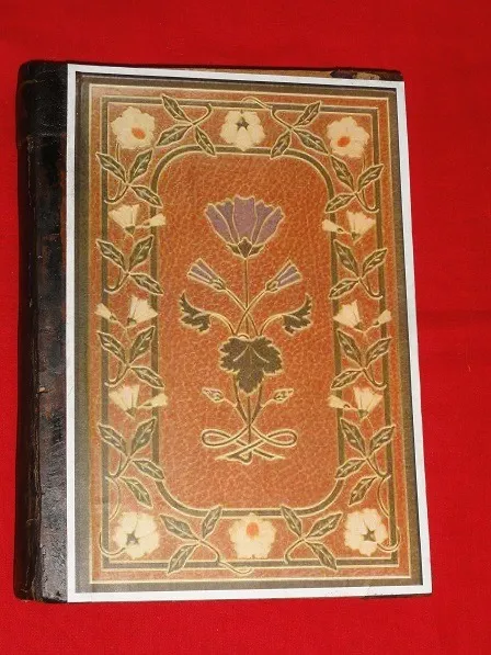 "Журнал для всіх" . 1904р. річна підшивка. Ціна