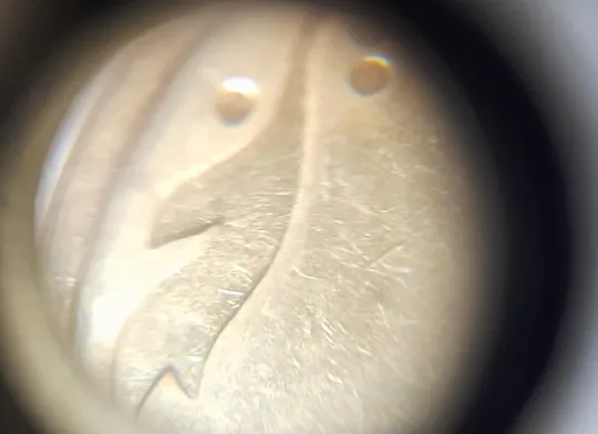 (1802да) 50 копійок 1992 1АВ(в)м брак по каталогу ІТК та Шекені (50 копеек 1992) З аукціону