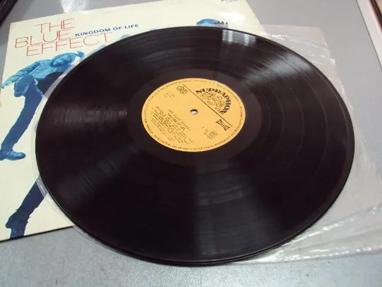 пластинка the blue effect kingdom of life №11603 Де купити