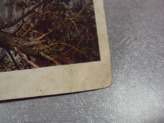 открытка утро в сосновом бору 1957 шишкин №9003 Недорого