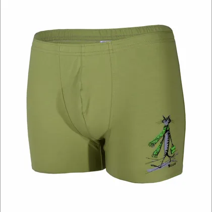 фото, Чоловічі подовжені шорти транки Lans Кіт з портфелем 06/011 фісташка зелені 4XL