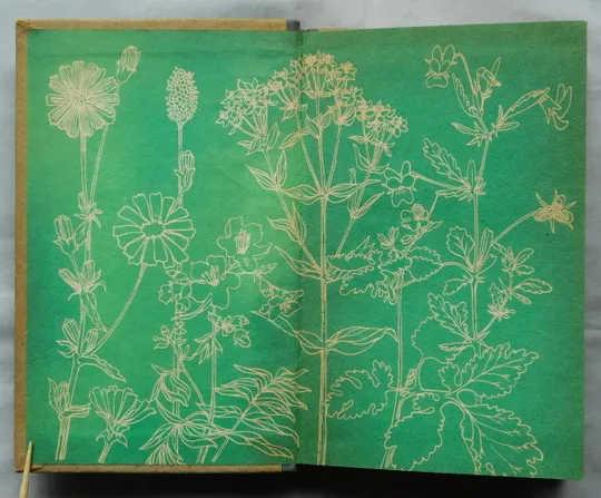 Книга - Зеленая аптека - 1976 рік - Н. Дядык, В. Коколо Продаж
