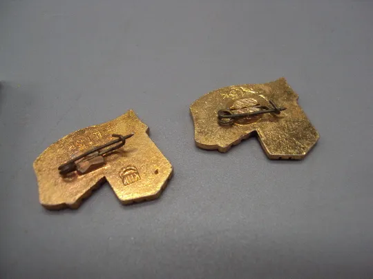 Знак Белгород-Днестровский крепость лот 2 шт №16451 З аукціону