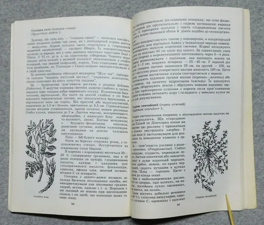 Книга - Лікарські рослини на присадибній ділянці 1993 рік - Ф. Мамчур, Я. Гладун Де купити