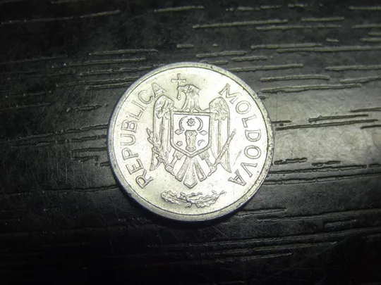 Купити 25 бані 2005 Молдова