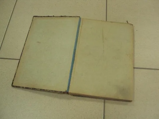 книга 1000 полезных советов хозяйке 1902 №157 З аукціону