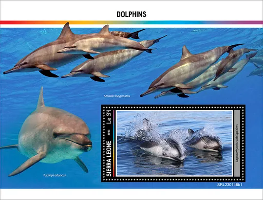 Купити Сьерра Леоне-Дельфины-2023.Чистый полный комплект.MNH.
