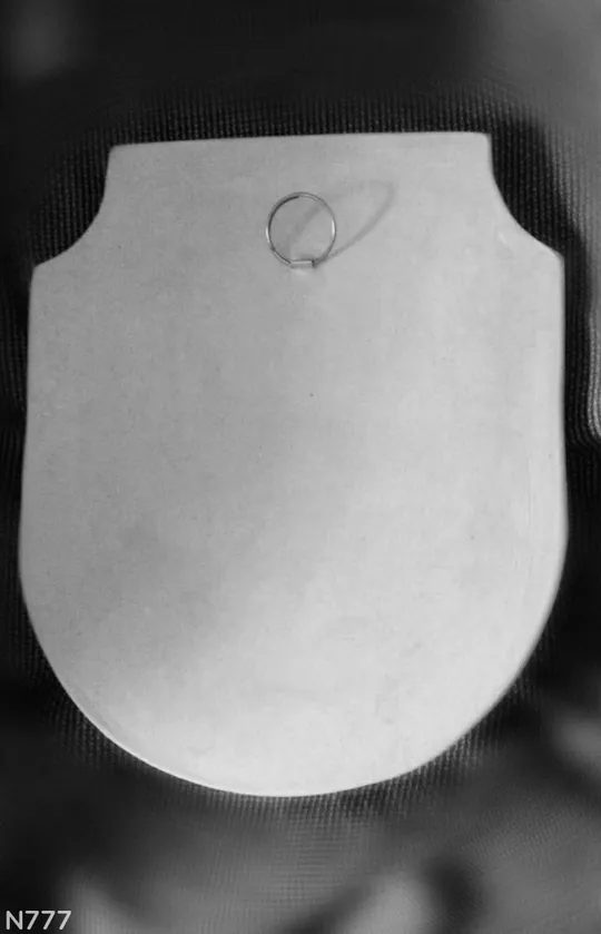 Гіпсовий барельєф лева З аукціону