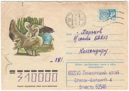 фото, Розовый пеликан. ХМК. 1975 рік. СРСР