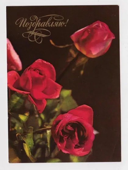 фото, ПОЗДРАВЛЯЮ - РОЗЫ - ЦВЕТЫ = ДМПК 1976 г. = КОМЛЕВ, РАСКИН = чистая #