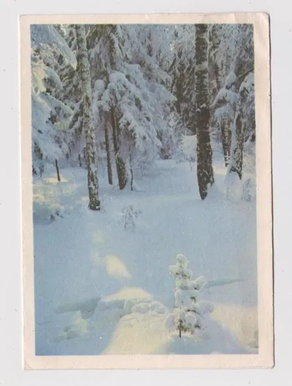 фото, С НОВЫМ ГОДОМ = ТЕЛЕГРАММА - 1967 г. = КОСТЕНКО, ЧМАРОВ = п/п #