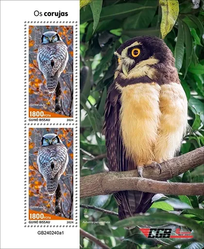 фото, Гвинея Бисау-Птицы Совы-2024. Чистый полный комплект.MNH.