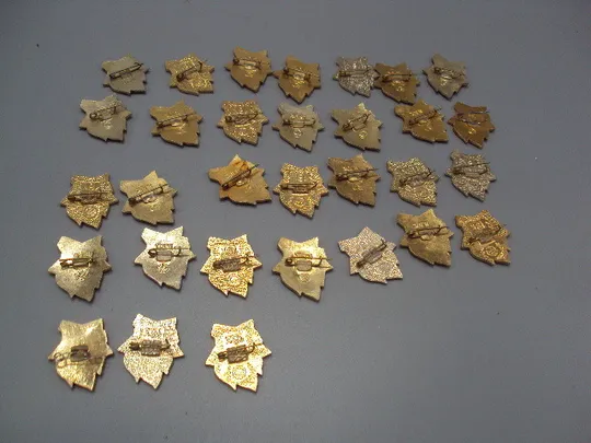 Знак пионерия всегда готов Ленин звезда огонь лот 31 шт №17327 Недорого