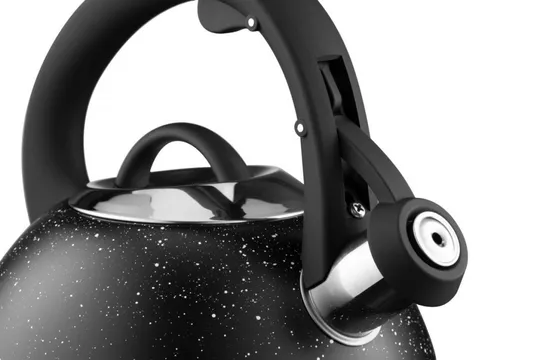 Чайник со свистком Ardesto Gemini AR-1957-KS 2.5 л черный Недорого