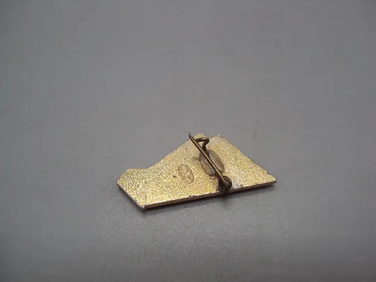 Знак спорт ссср спартакиада флаг ЛЭ ЛенЭмальер женщина девушка держит флаг №17847 Продаж