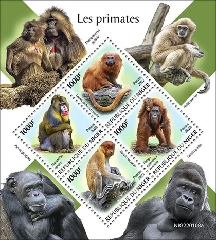 фото, Нигер-Обезьяны-Приматы-2022. Чистый полный красивый комплект. MNH.