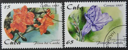 фото, Куба Флора Цветы 1997
