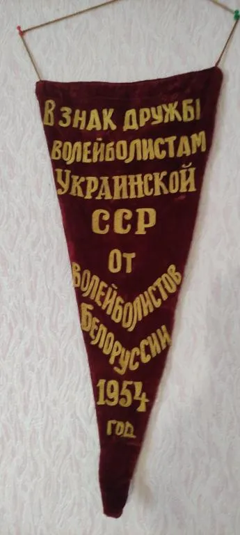 Вымпел 1954 года СССР бархат  pg841 З аукціону