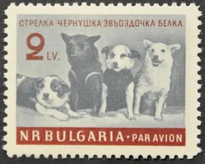 фото, Болгария Космос Белка Стрелка Чернушка Звездочка 1961