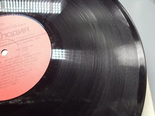 Пластинка мелодия Игорь Николаев Фантастика 1989 год диаметр 30 см №15404МЯ Інтернет-аукціон