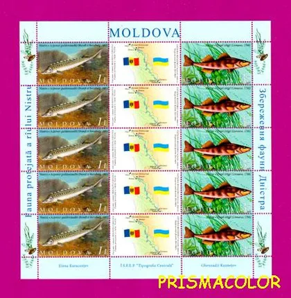 фото, ** УКРАИНА 2007 лист Фауна Молдавия-Украина (Молдавский выпуск)