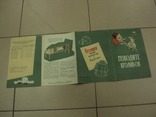 книга альбом разводите кроликов 1961 салапина №13356м Продаж
