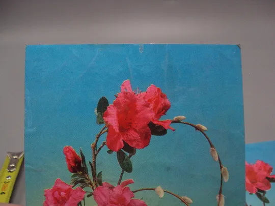 Купити Открытка цветы в вазе Азалия и верба композиция Н. Минченко фото Р. Якименка 1976 г лот 2 шт №18013