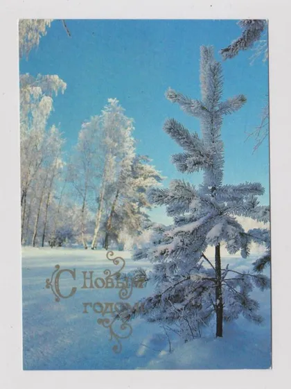 фото, С НОВЫМ ГОДОМ = 1981 г. = ДЕЙКИН = чистая #