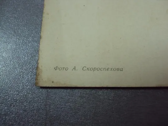 открытка павловск обелиск 1965 скороспехова №10639 Інтернет-аукціон