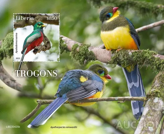 Купити Либерия-Птицы-2022.Чистый полный красивый комплект.MNH.