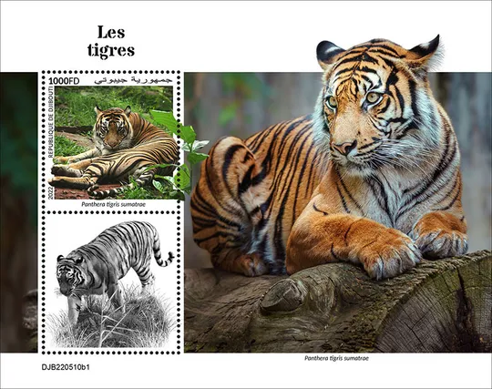 Купити Джибути- Тигры- 2022.Чистый полный красивый комплект.MNH.