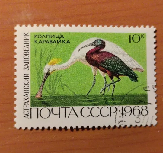 Марка СССР 1968 Колпица каравайка Астраханский заповедник Ціна