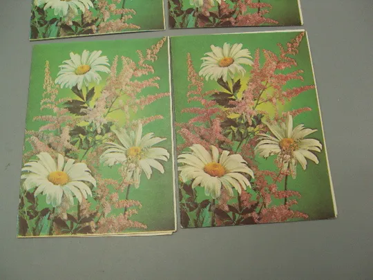 Открытка телеграмма цветы ромашки фото Г. Костенко 1985 и 1986 год лот 4 шт №16158 З аукціону