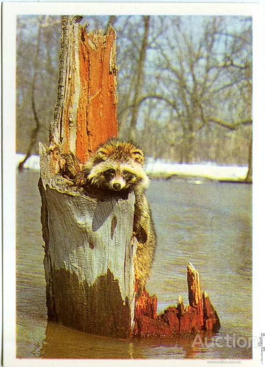 Календарик карманный ЕНОТ 1990 Ціна