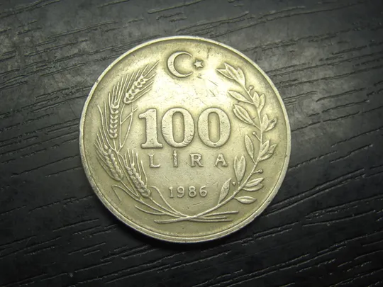100 лір Туреччина 1986 Ціна