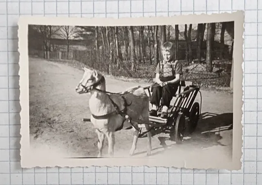 Старе фото Дитячі розваги 1930-ті рр.Німеччина uS07 Ціна