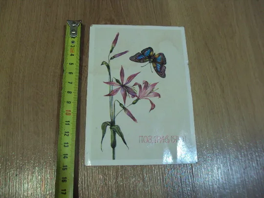 Открытка Поздравляю! цветы бабочка художник Н. Савельева 1989 год №18657 Ціна