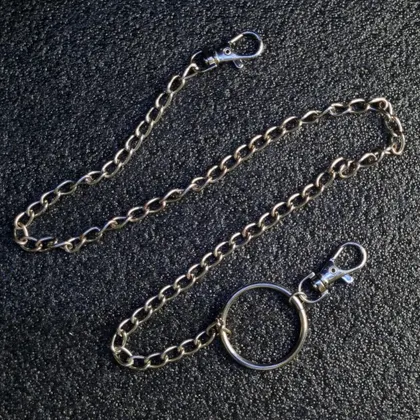 фото, Металевий ланцюг-аксесуар з карабінами та кільцем