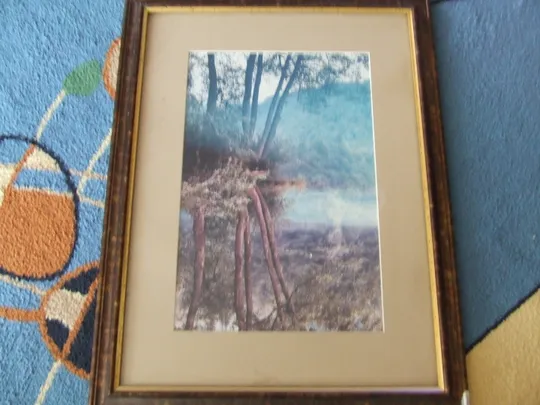 Репродукция в раме под стеклом раз. 60 х 45 см. 2000 гг. Ужгород Продаж