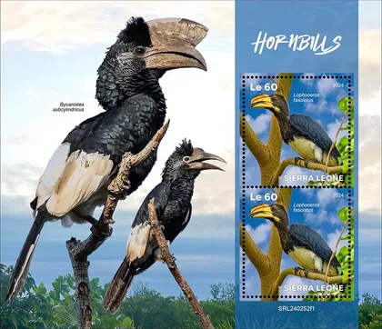 фото, Сьерра Леоне-Птицы Носороги-2024. Чистый полный красивый комплект. MNH.