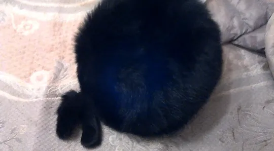 Купити Шапка норка женская